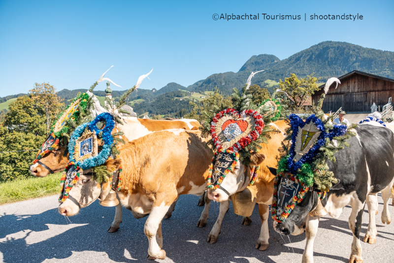 bauernmarkt-mit-almabtrieb-und-kirchtagsfest_2025_reith-im-alpbachtal_alpbachtal-tourismus_shootandstyle-158_54807894667_l